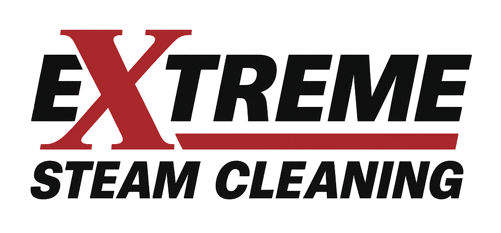 Extreme Steam Cleaning